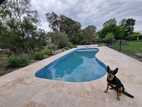 A dog sitting on a stone pool surround beside the water